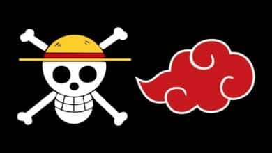 One Piece: Bandeira vira símbolo de protesto durante manifestações no Nepal 4 One Piece vira símbolo de protesto durante manifestações no Nepal