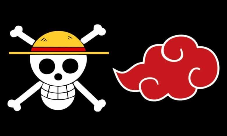 One Piece: Bandeira vira símbolo de protesto durante manifestações no Nepal 1 One Piece vira símbolo de protesto durante manifestações no Nepal